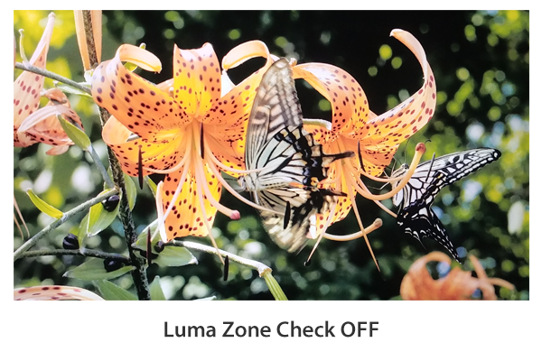 Luma(Y’) Zone Check