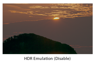 HDR Emulation