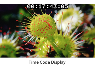 Time Code Display